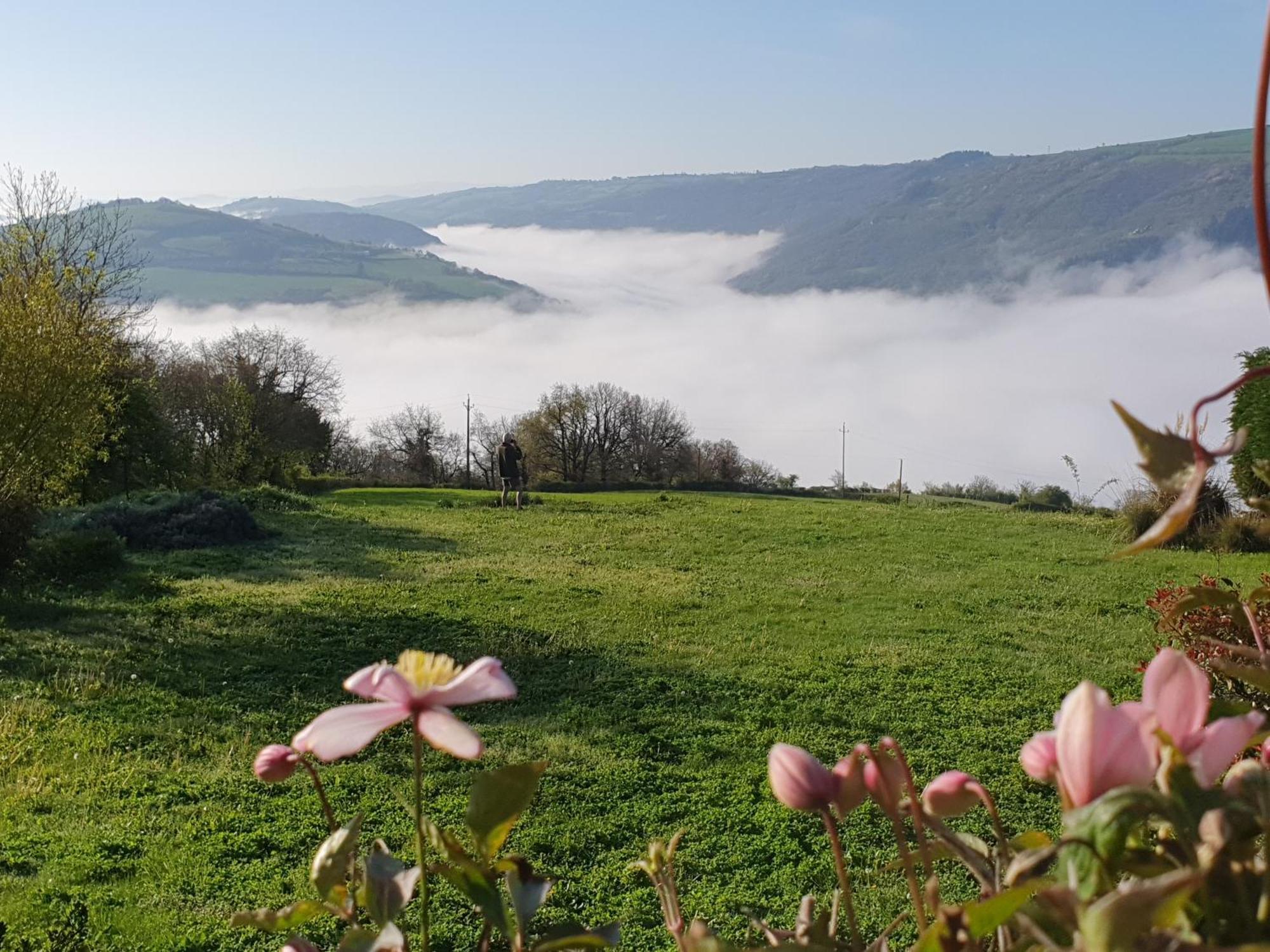 La Colline Du Chat Perche Villa Connac Bagian luar foto