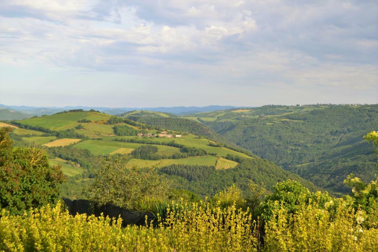 La Colline Du Chat Perche Villa Connac Bagian luar foto